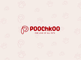 Poochkoo® Pet Care | Logo Design