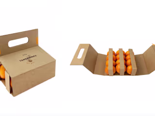Tangerine To-go