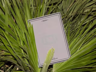 Brand Identity for Casa Olivia 