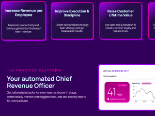 Praction: CRO Solutions for B2B Growth