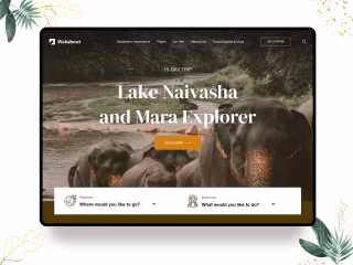 Wakanow Website Design