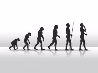 Evaluation of human 