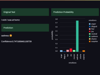 sentiment-analyzer