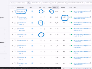 Especialista en SEO on-page y off-page