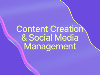 Instagram Management & Content Creation