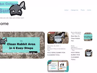 Customized WordPress Website Development