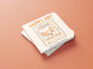 Where's Leo? Pop Up Book