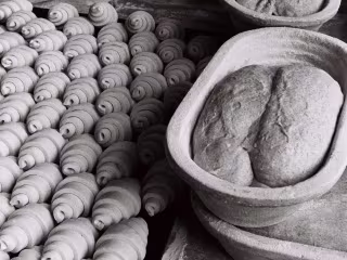 Dou Dou Bake - Copywriting and Photography 