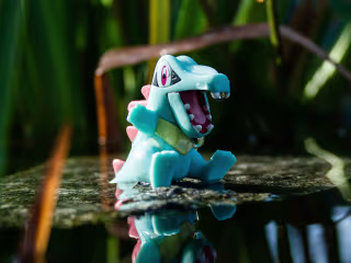 Using Pokemon as a tool for Early Childhood Biology Education 