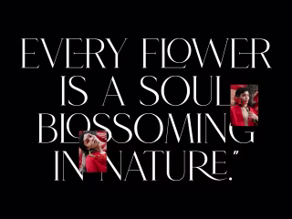 Web Design | Flower Shop