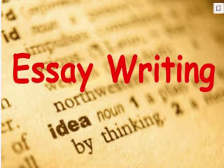 Essay Writing 