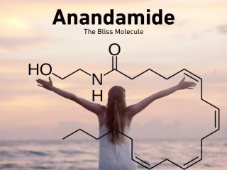 What is Anandamide and Why is it The Bliss Molecule?