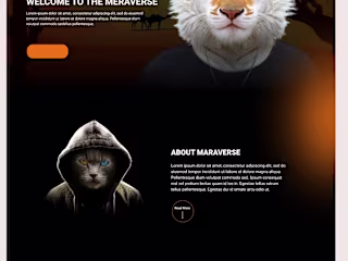 Figma to webflow website design for Mara :: Behance