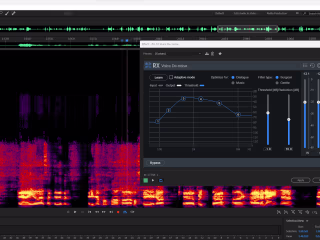 Professionally edit clean up and fix your audio file
