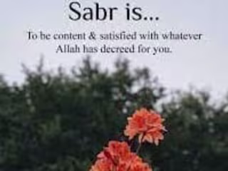 Golden Prince on Instagram: ”#muslims #islam #muslim #allah #qu…