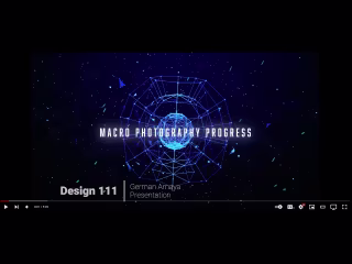 Portrait  Photography