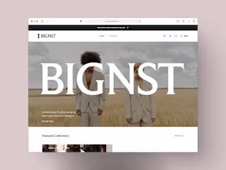 Bignst E-commerce Website Design