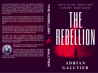 My Amazon Author Profile Showcasing My Published Novels