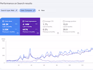 SEO and Growth Consulting for Pest Control Brand