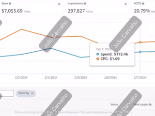PPC Campaign Management & Cost Optimization