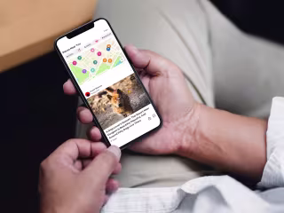 LittleBlackBook (Discovery App)