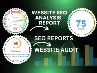 I will do a full technical SEO audit of your website in 24 hrs