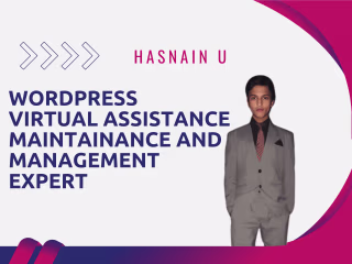 WordPress Manager, upload content and take care for your Site!