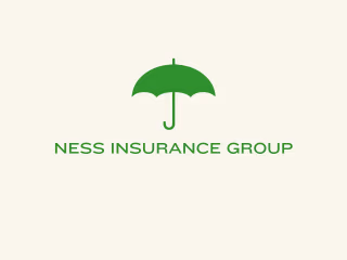 Content Creation for Ness Insurance Group