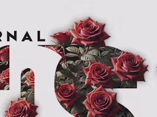 RADRESIGN • Design & Typography on Instagram: “The Eternal Rose…