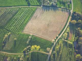 How to Invest in Farmland
