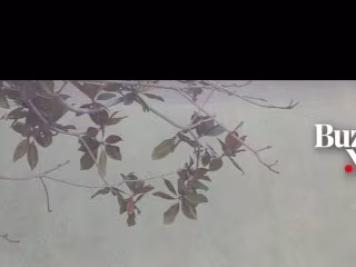 LA Hope Dealer Protest Art Installation - Social Media Video