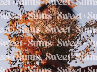 Sweet Sums 🍓 Brand Design