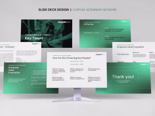 Slide Deck Design - Doppler Veterinary Network