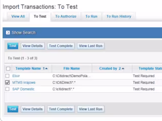 Payment file to upload into Citidirect (TXT flat file)