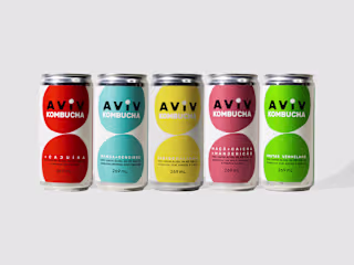 Aviv Kombucha