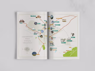 Collateral & Editorial Design