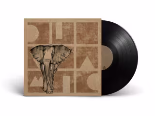 diynamic records