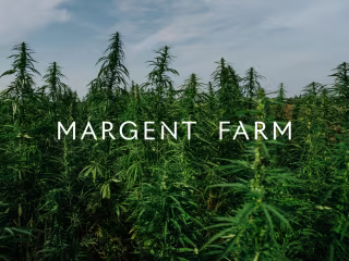 Margent Farm — Rita Juarez