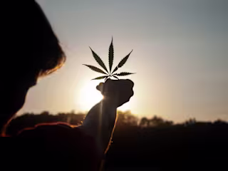 A Surprising Health Benefit of Cannabis