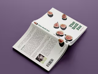 The Bell Jar - Redesign