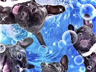 Pet Calendar’s ;P (graphic design)