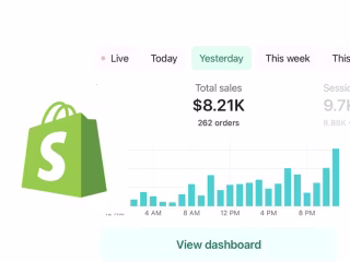 E-commerce store creation and Promotion