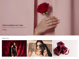 Luxury Online Marketplace