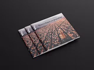 Brochure - Barcelona - infographics