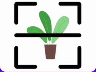 Plant Dieases Detection app