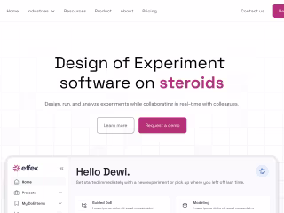 Effex Website Design and Development