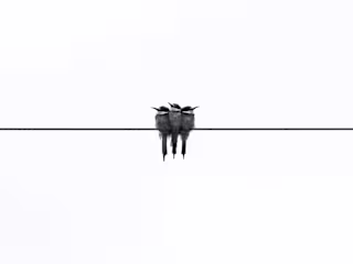 Social Media Animations