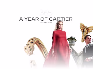365, A Year of Cartier
