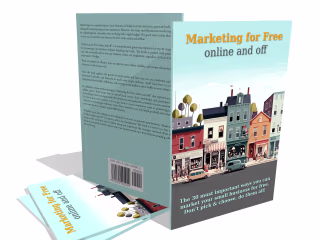 Custom-made lead magnet—paperback and e-book