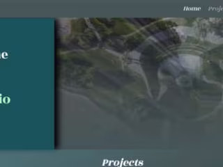Web Design WIX